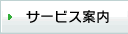 �T�[�r�X�ē�