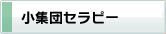 ���W�c�Z���s�[